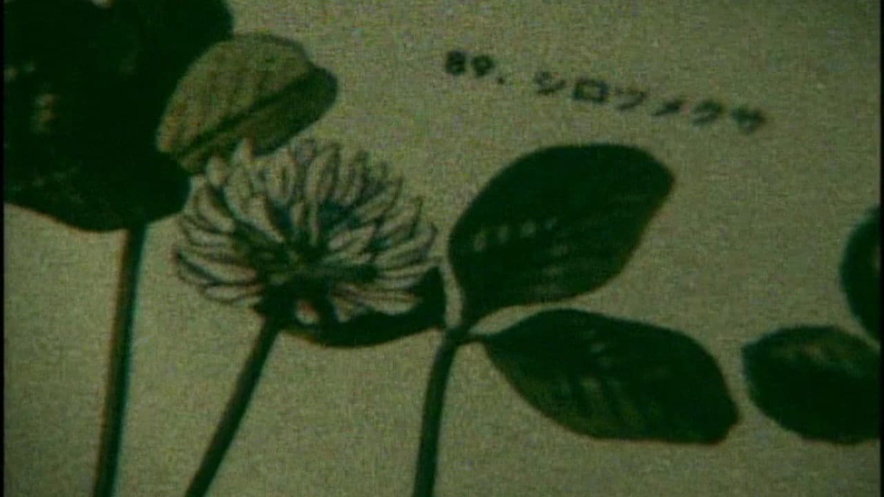 세상은 가끔 아름답다