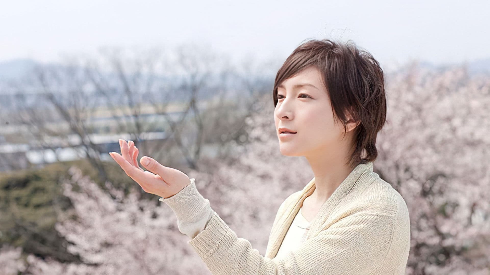 벚꽃, 다시 한 번 카나코