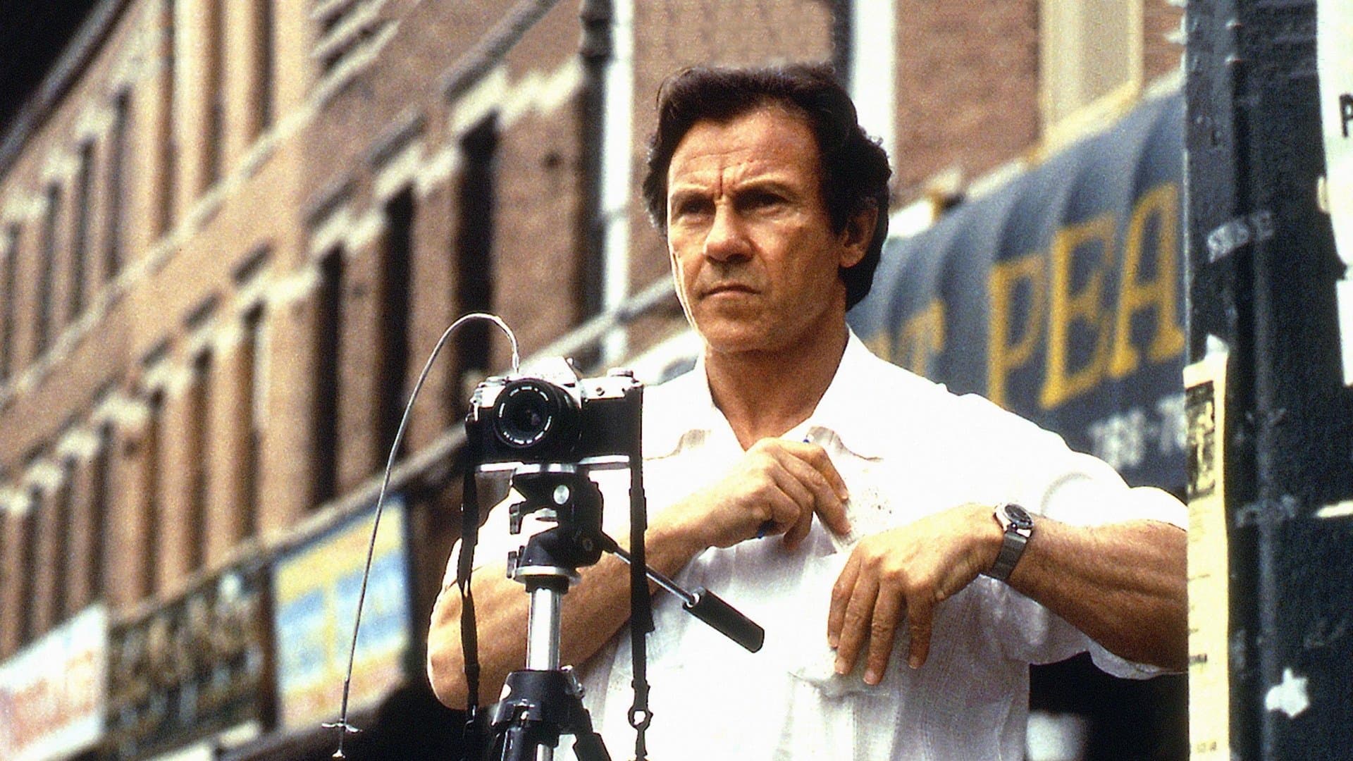 블루 인 더 페이스