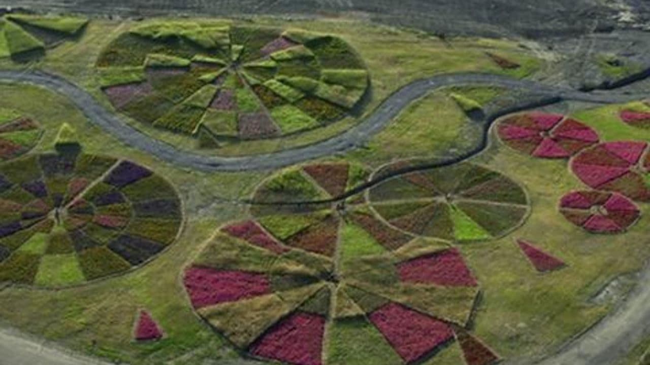 A Margem da Paisagem