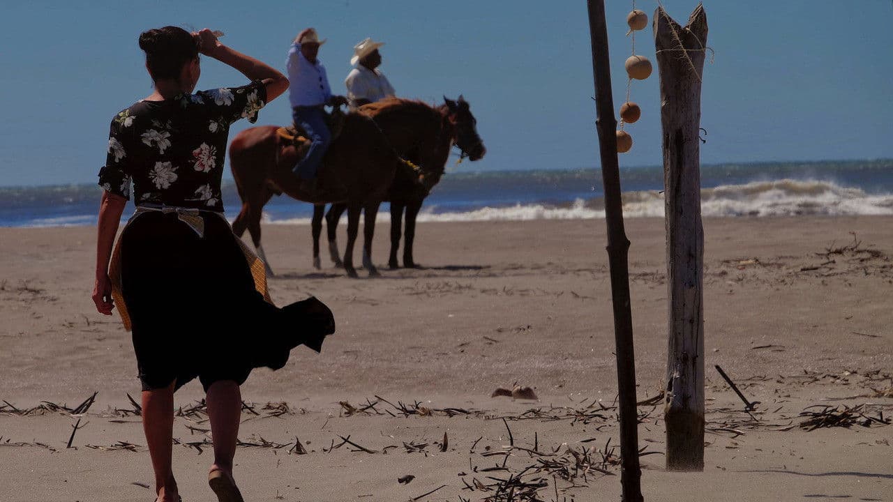 Estoy todo lo iguana que se puede