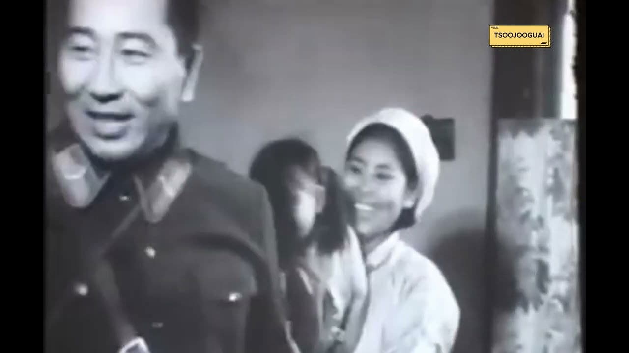 Сүүдэрт жилийн зурвас