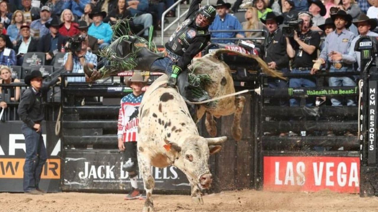 불라이더: 두려움을 모르는 남자들