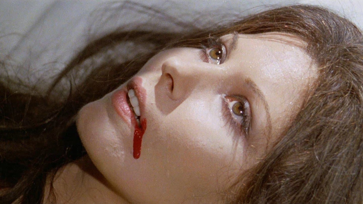 올 더 컬러스 오브 더 다크