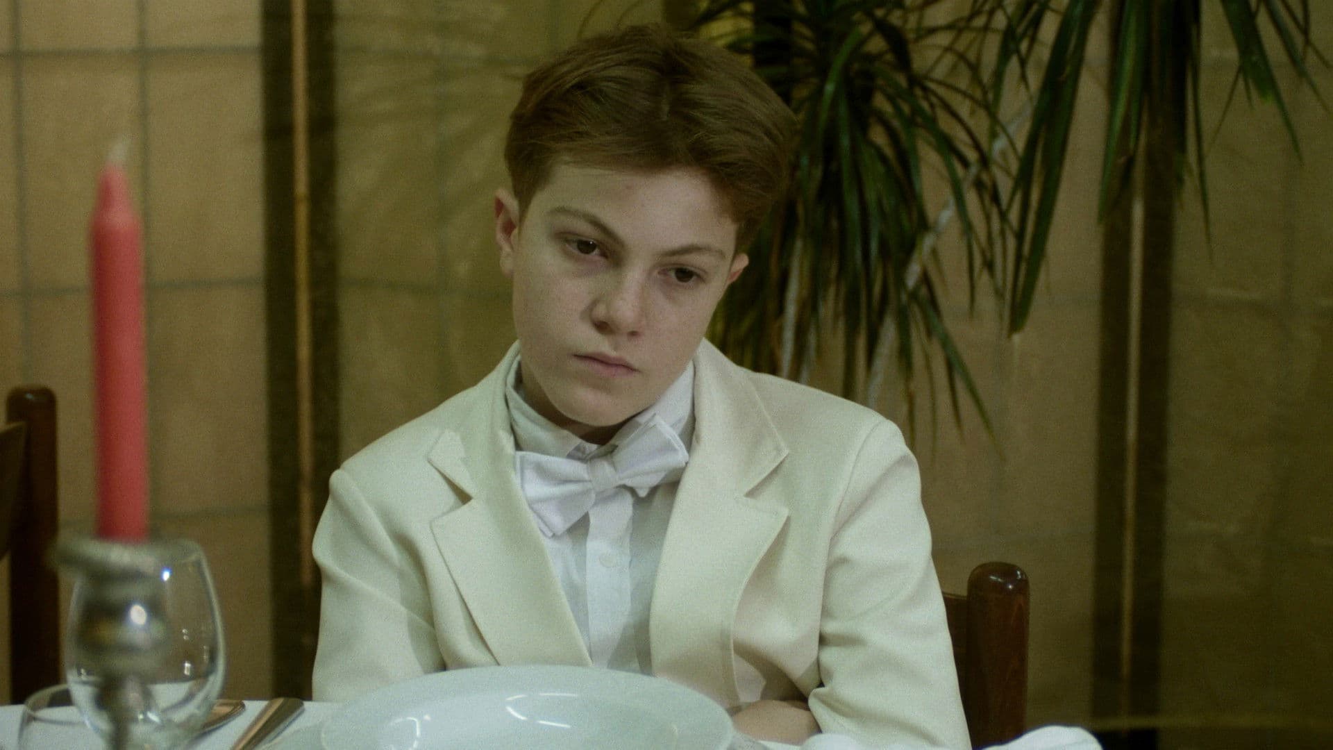 더 영 옵저번트