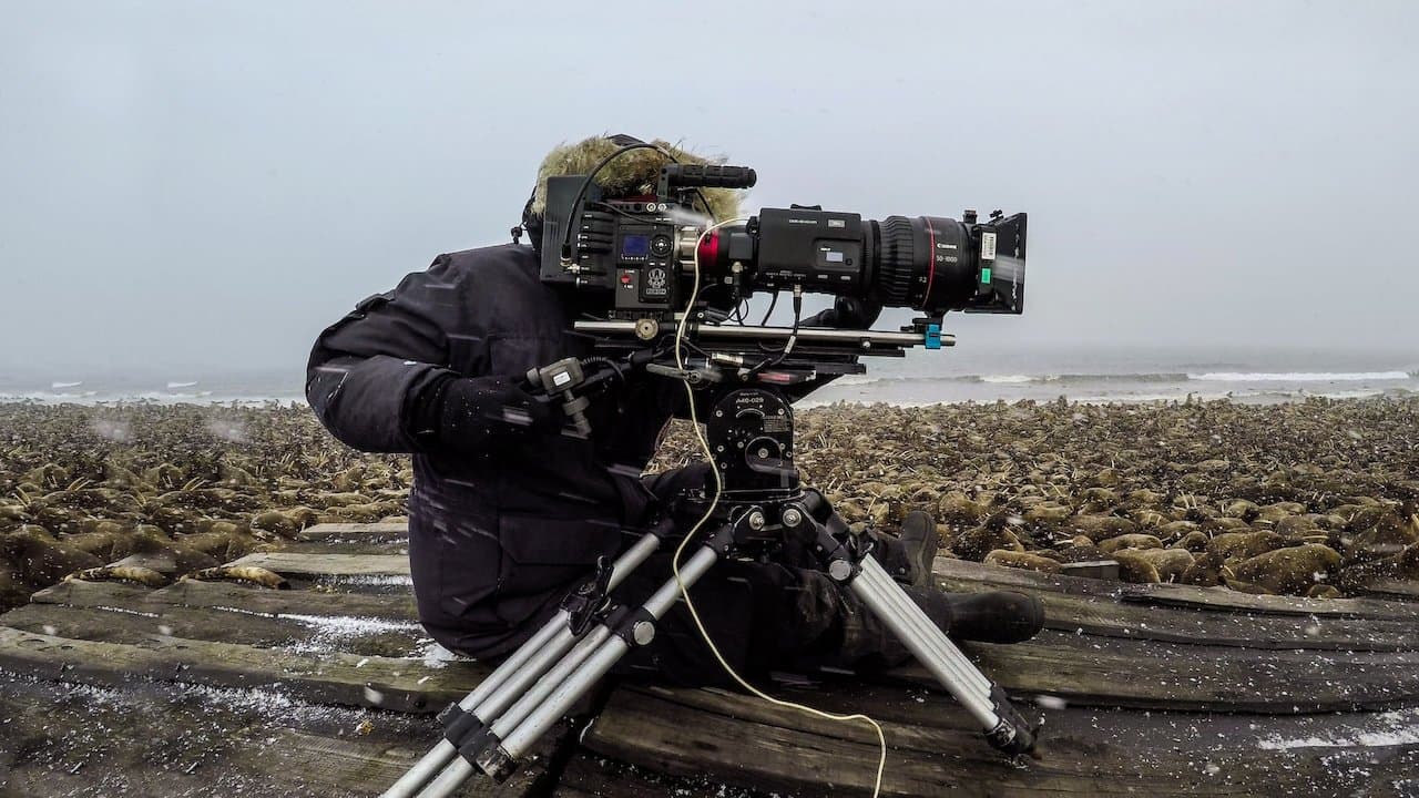 우리의 지구: 끝나지 않은 여정