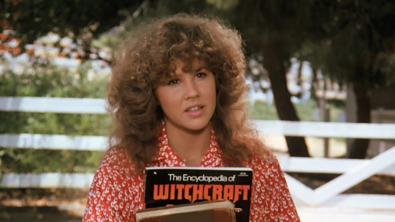 우리집의 이방인