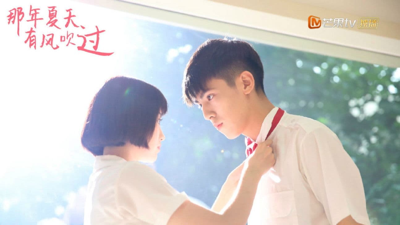 那年夏天有风吹过