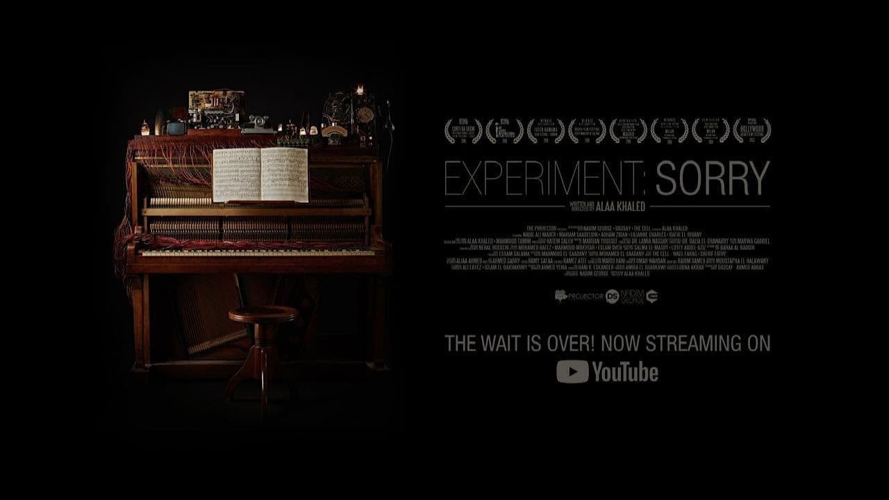 التجربة: آسف