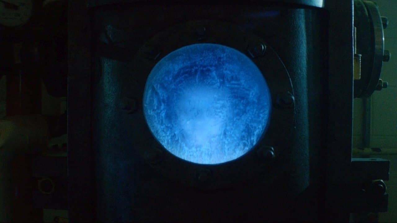 키메라 DNA 프로젝트