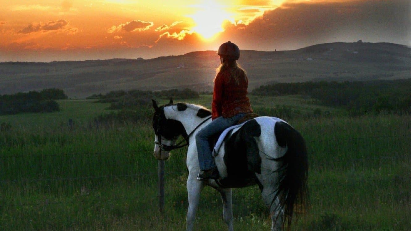 문댄스 알렉산더