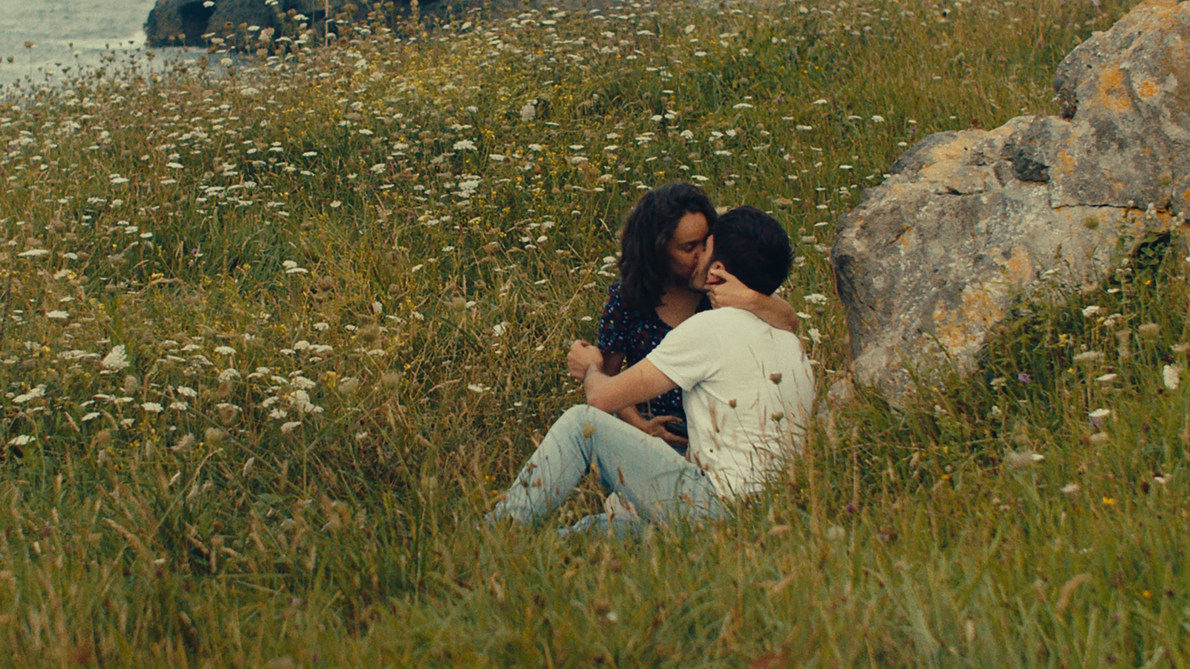 Notas sobre un verano