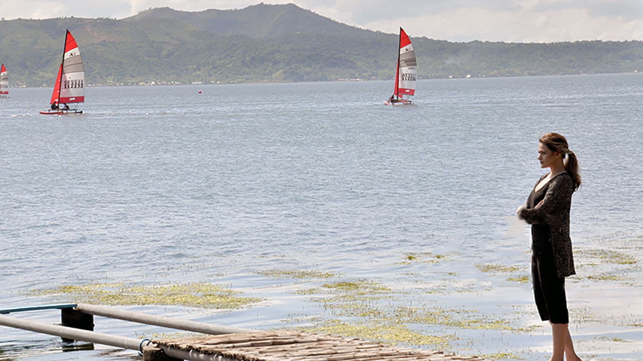 더 러브 어페어