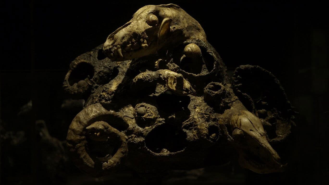 애니메이션의 연금술사, 얀 슈반크마예르