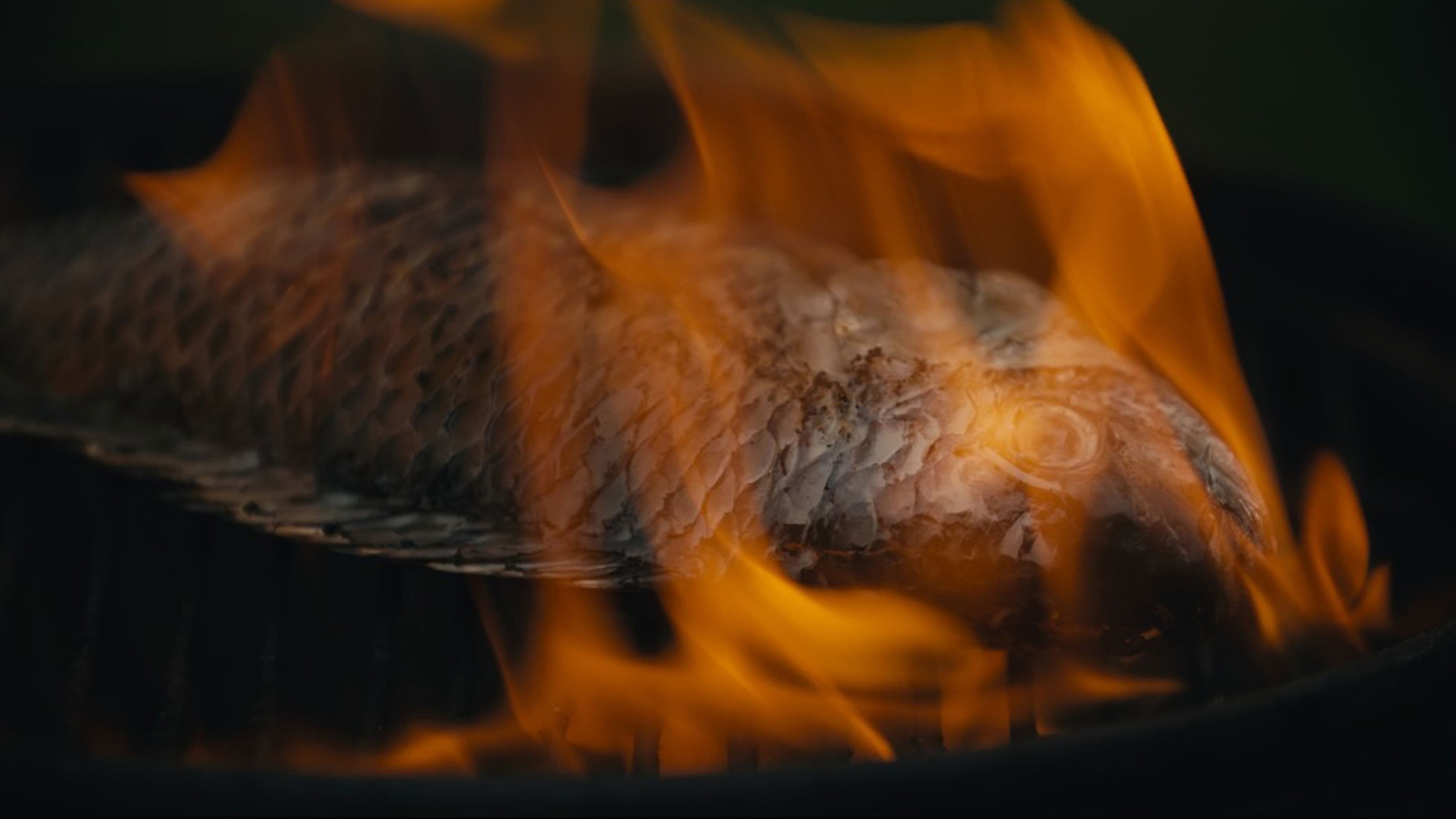 FOUR ARMS, FOUR LEGS AND TWO FACES