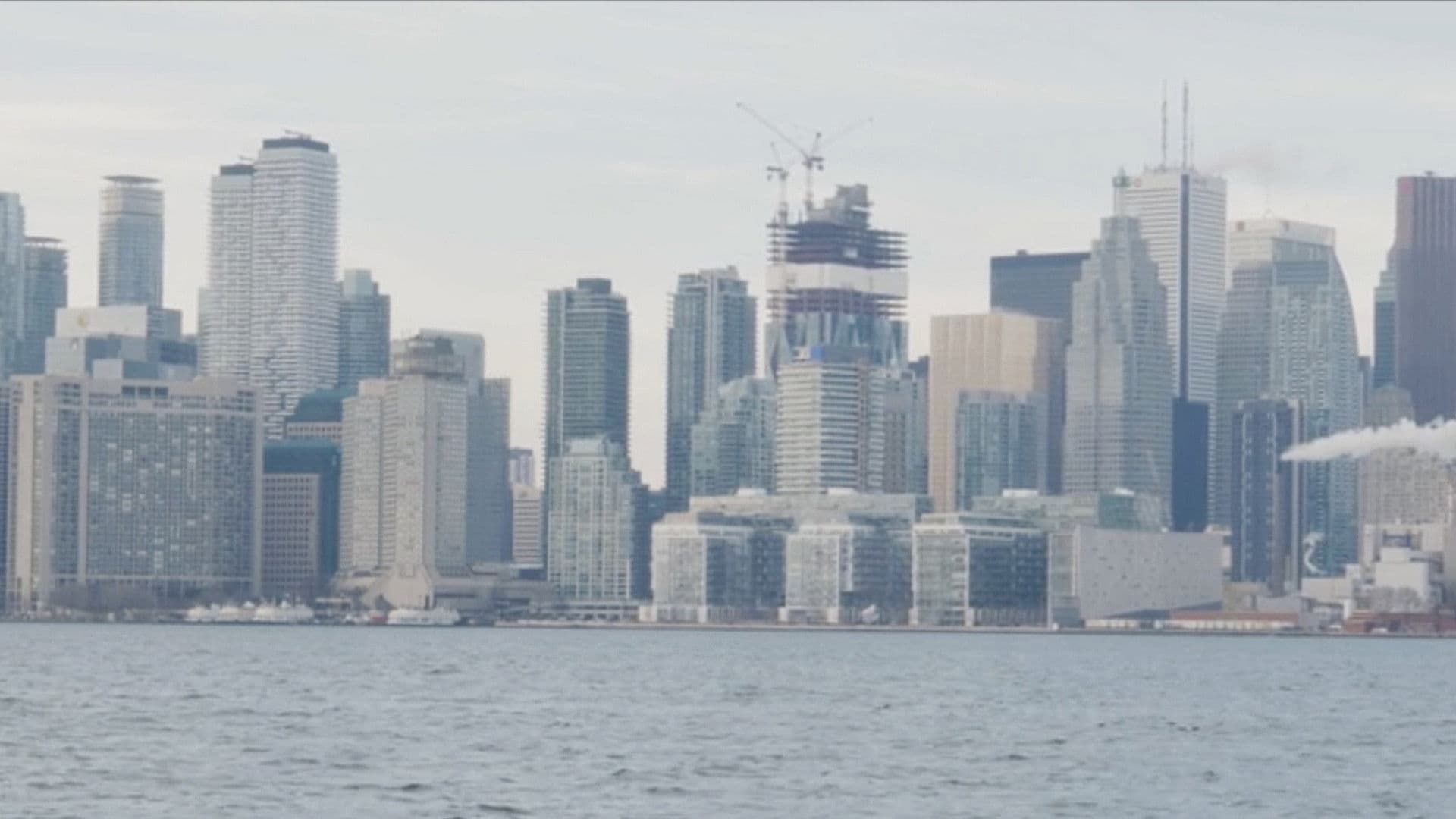 I love you Michael Snow