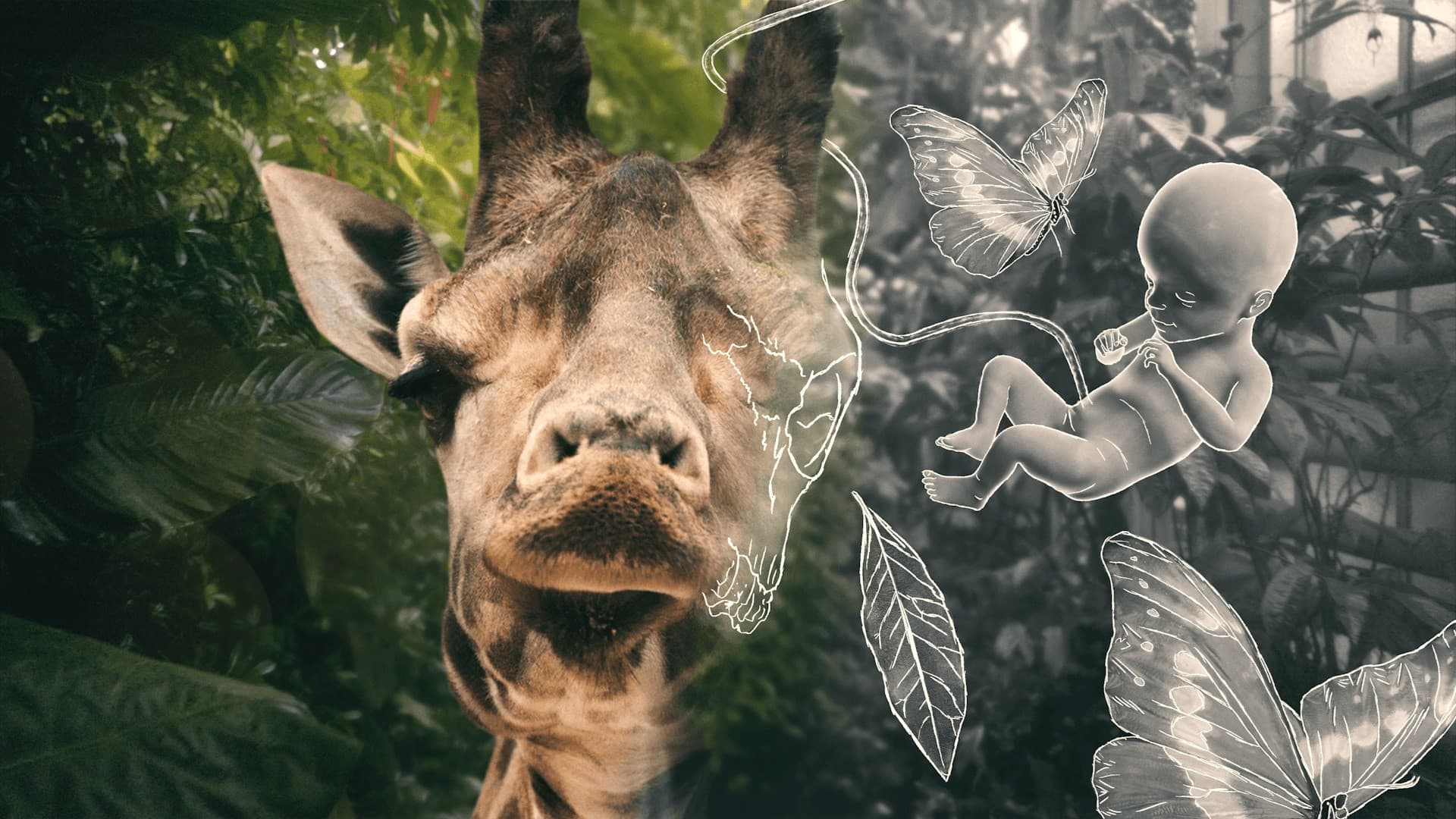 Livet og andre problemer