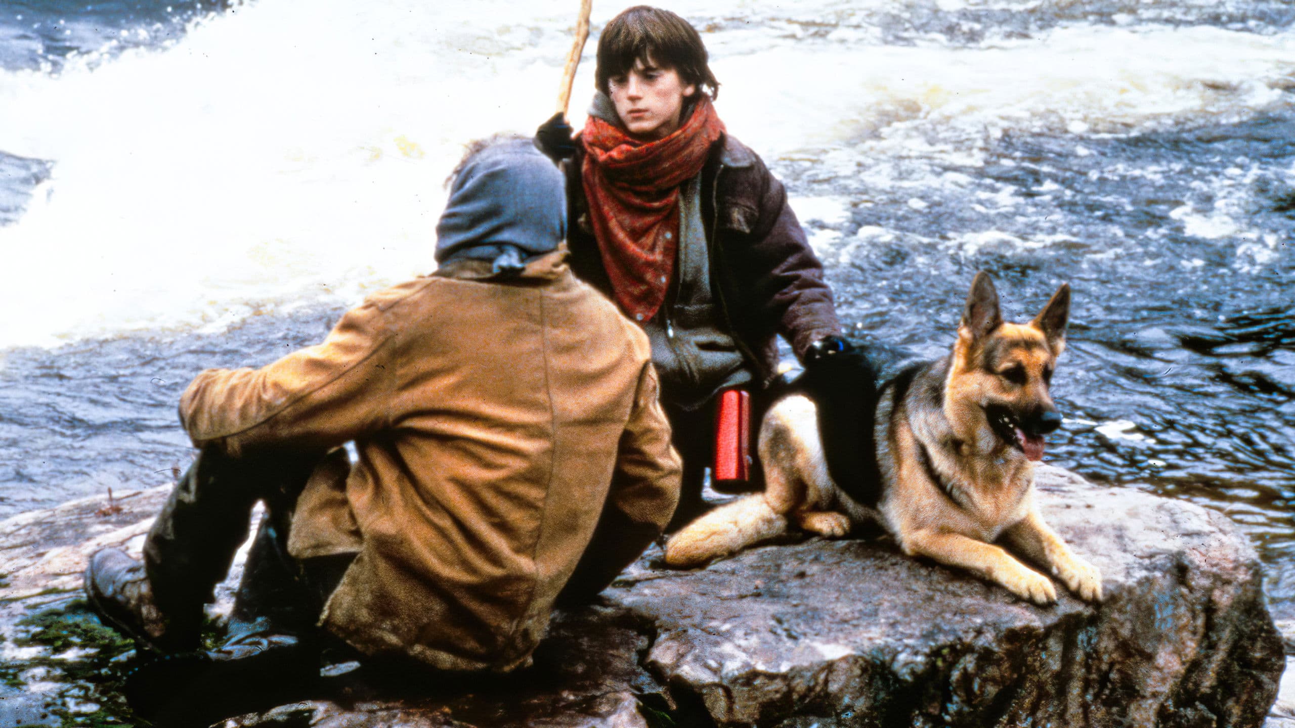 와일드캣 캐니언 탈출 작전