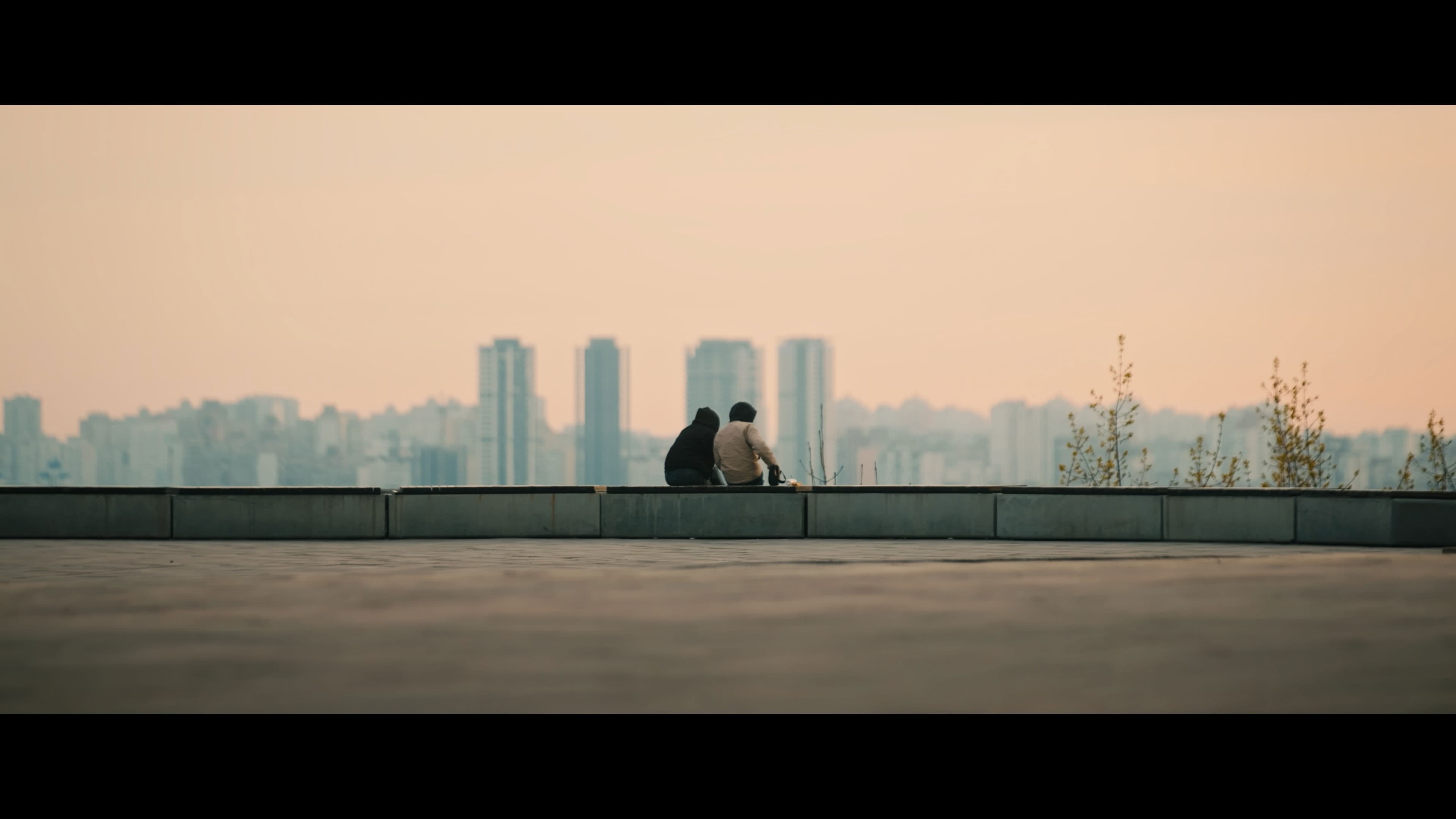 Гуси кохання