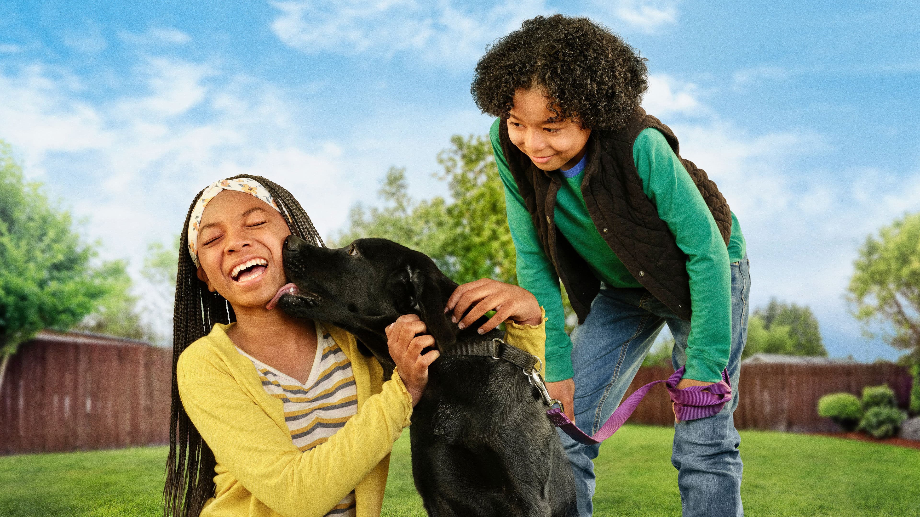 '퍼피 플레이스' - Puppy Place