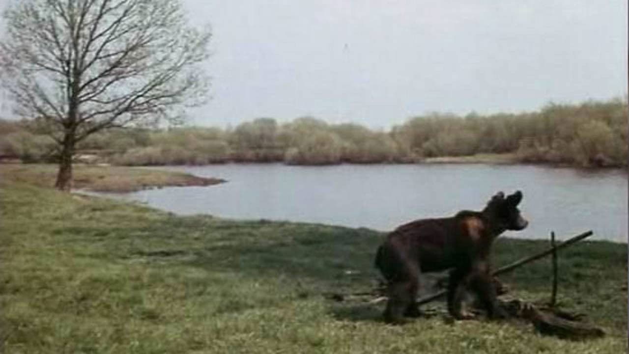 Мишка, Малыш и другие