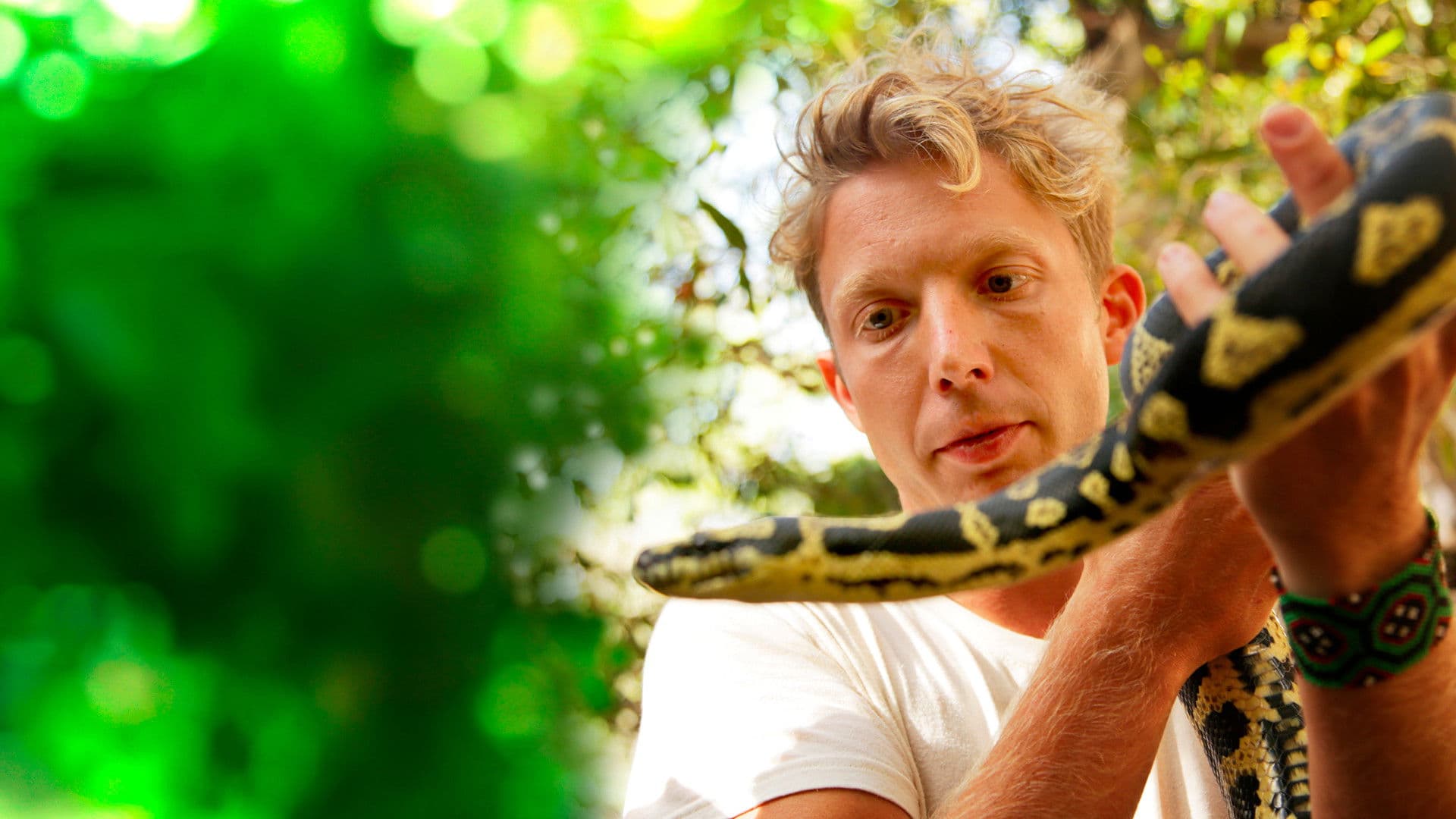 잭 랜들의 용감한 모험