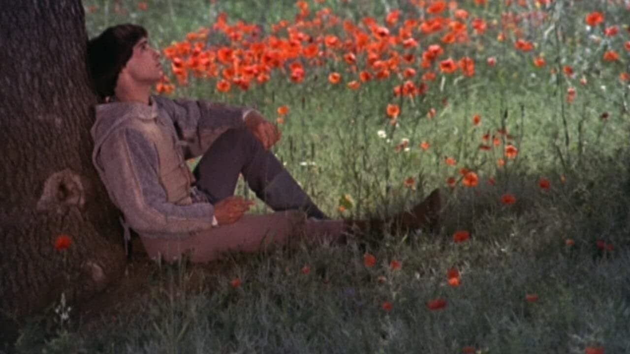 브라더 썬 씨스터 문