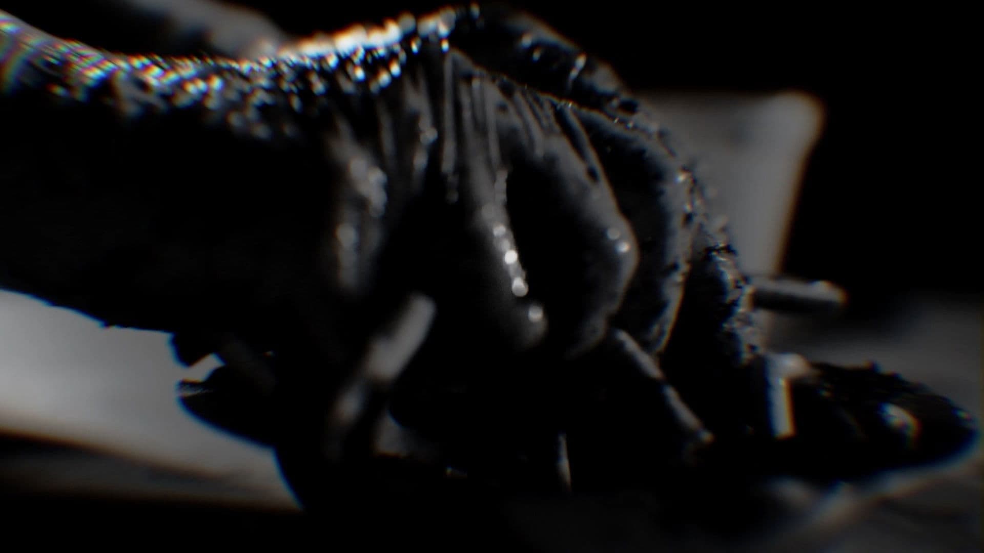 Homenagem a Joe Camel