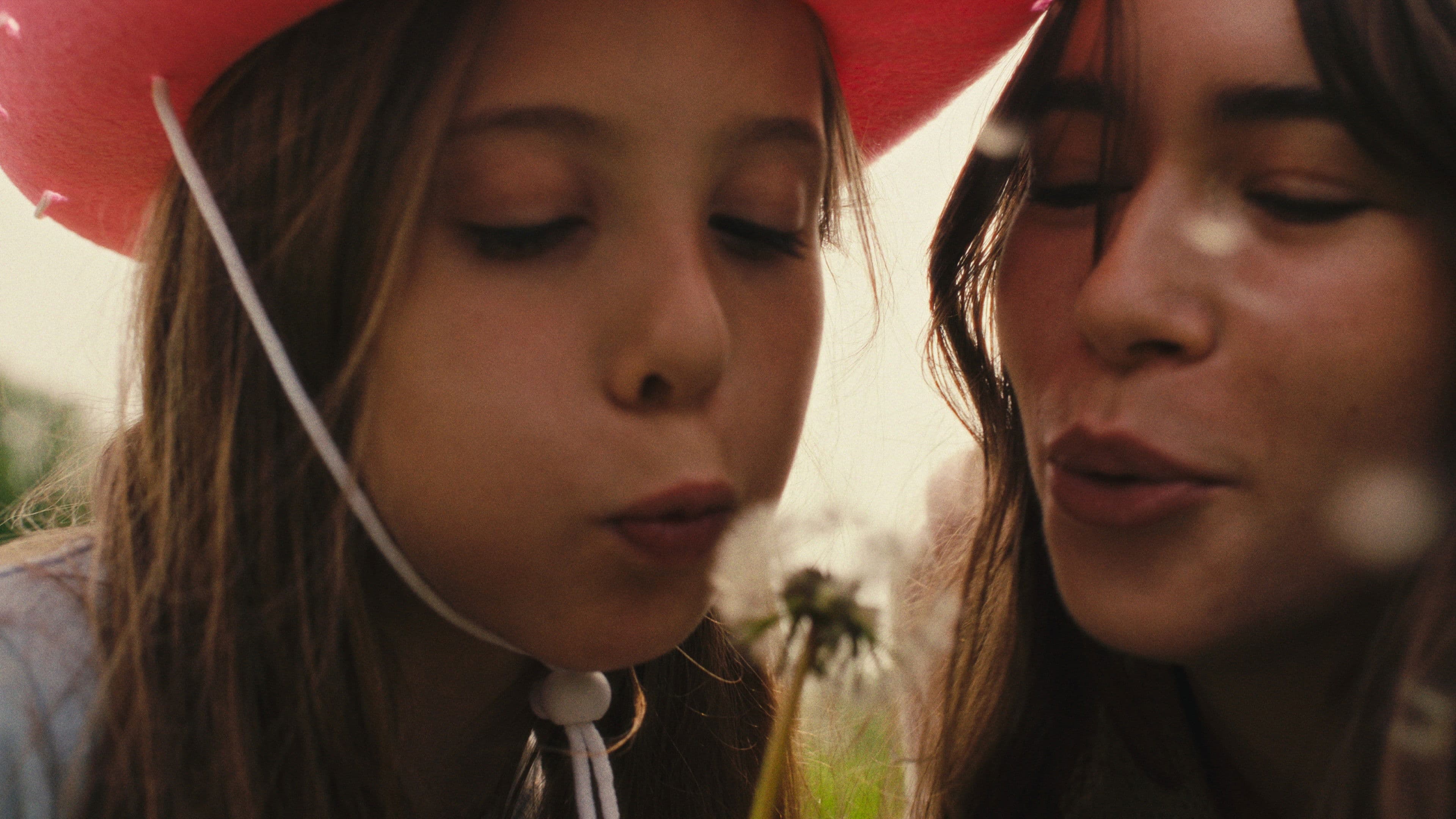 Boom Balloon Machine