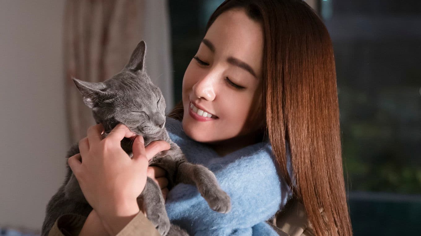 고양이는 안는 것