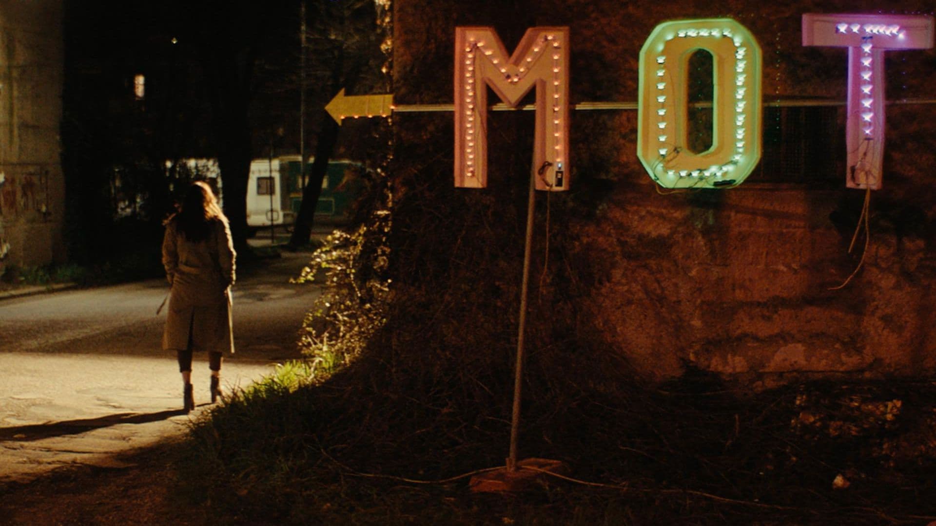 Succede in una notte