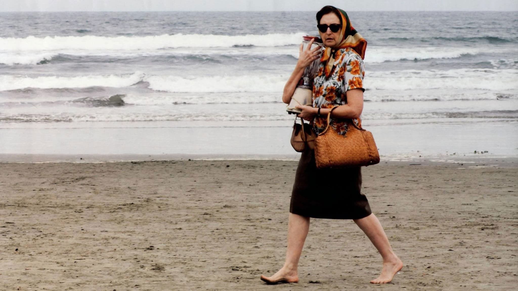 Reflexões de um Liquidificador