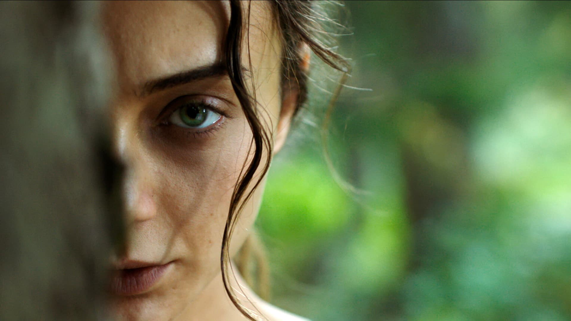 휘파람의 노래: 시벨