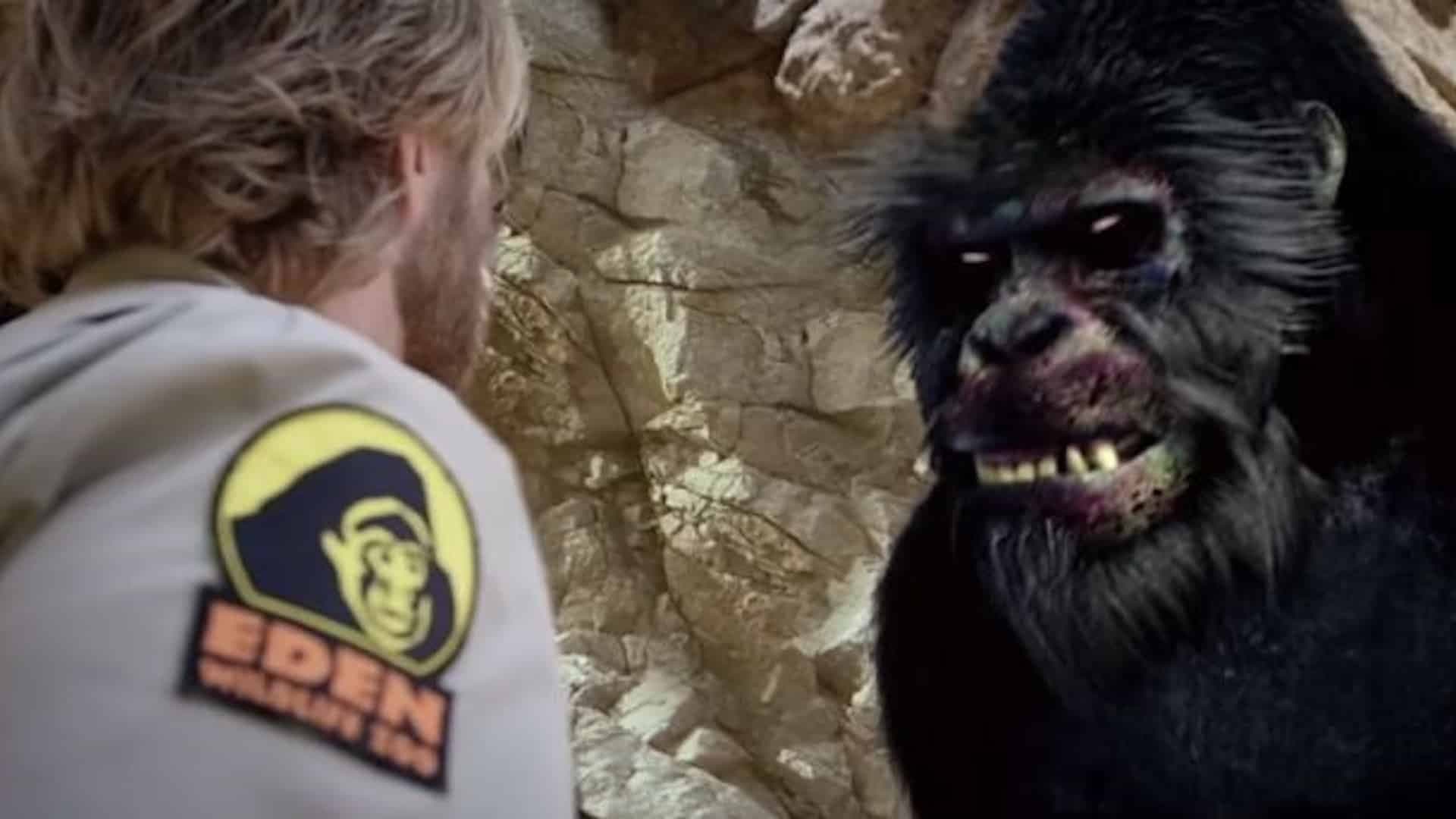 새벽의 저주: 좀비랜드