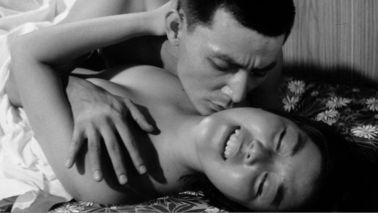 황야의 다치와이프