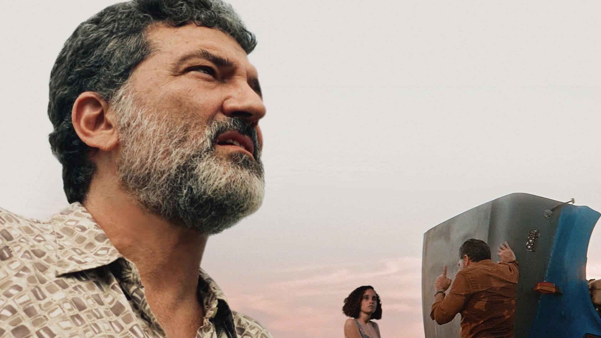 프로젝셔니스트