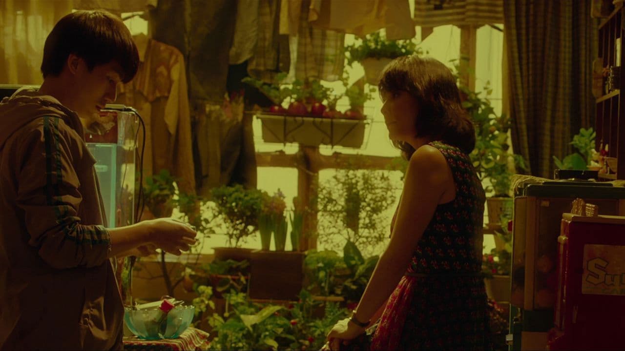 인 유어 드림스