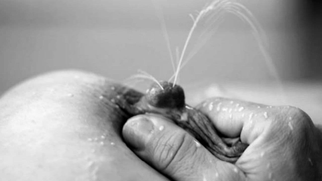 Mamíferas: el hilo de Ariadna