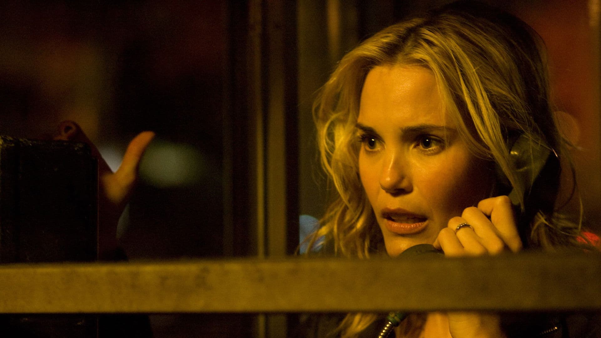 미드나잇 미트 트레인