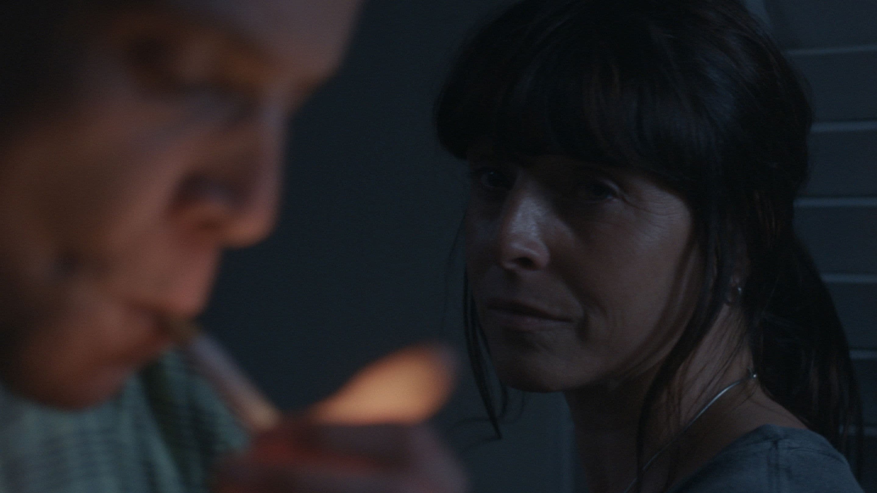 Las colillas de mi casa