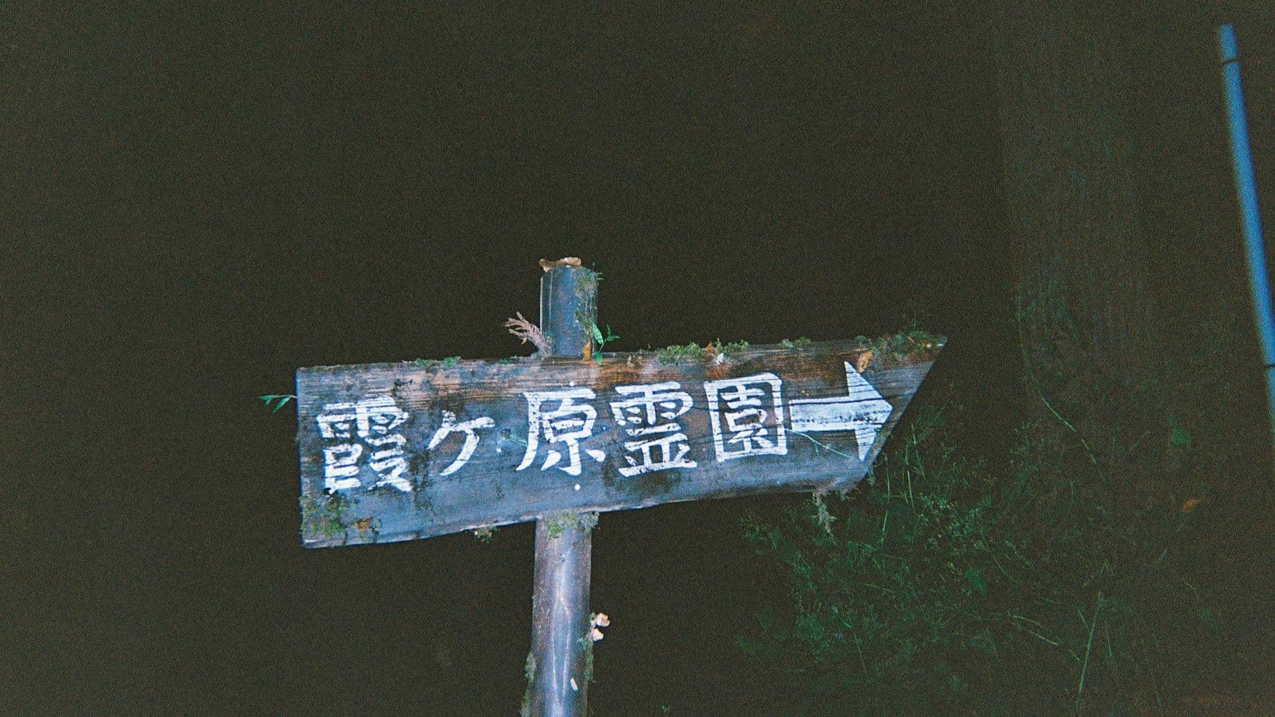 口に関するアンケート