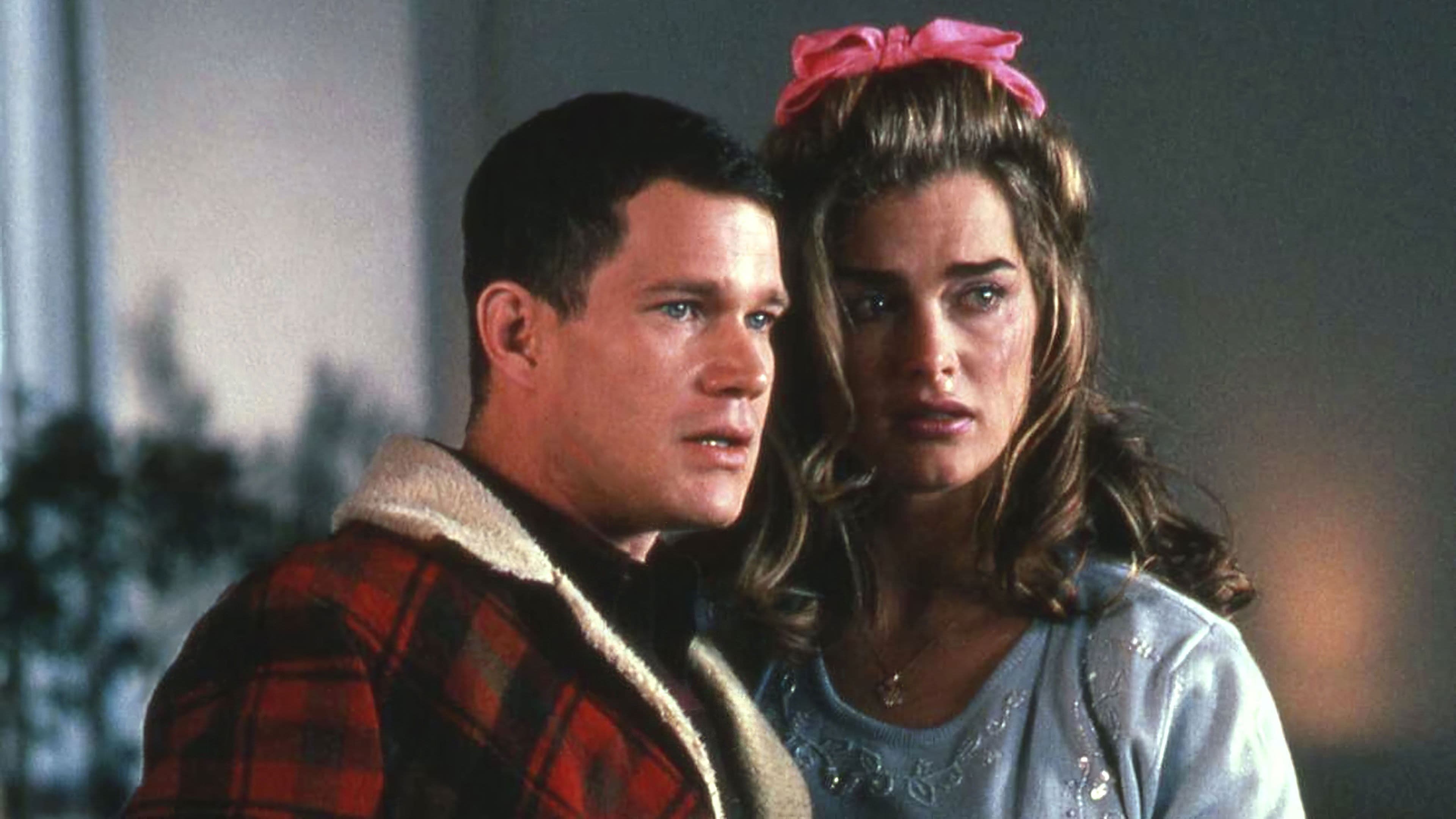 The Almost Perfect Bank Robbery