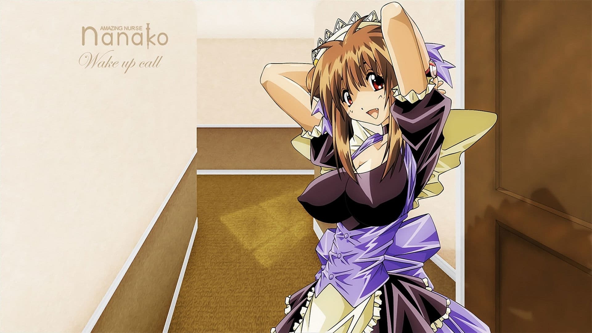 나나코 해체진서