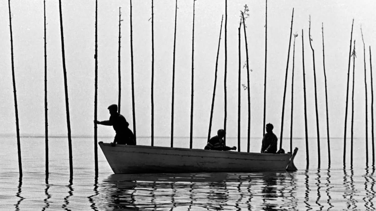 다음 세계를 위하여