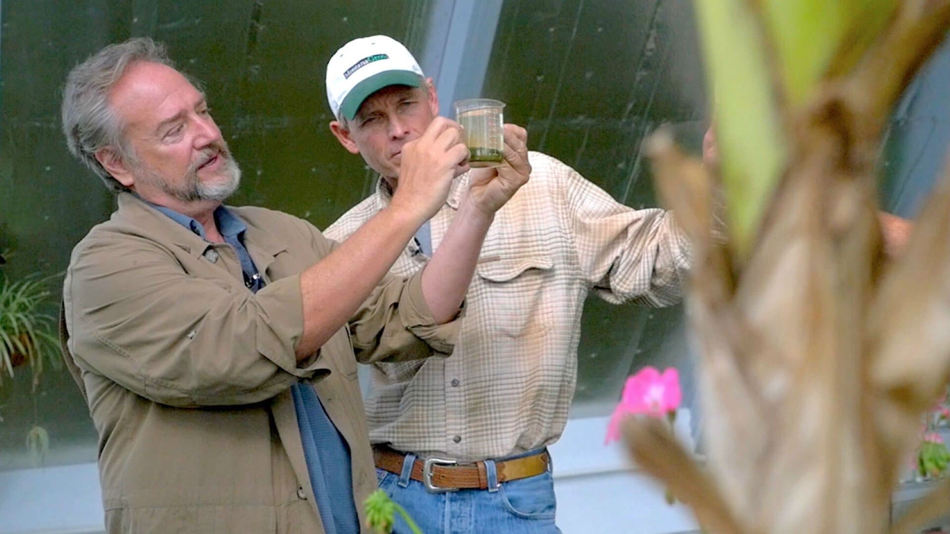 더 니드 투 그로우