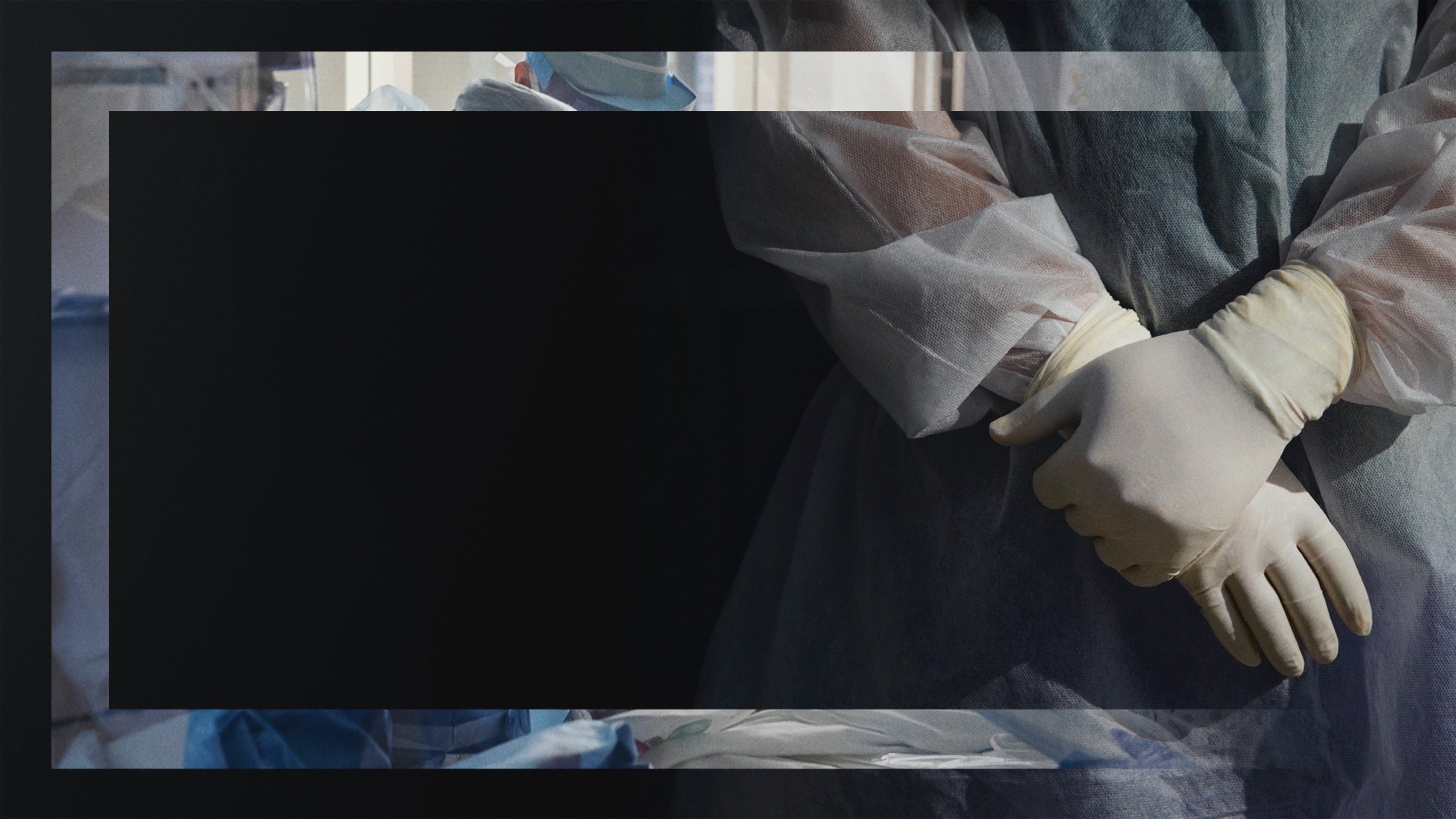 뉴욕 타임즈 제공