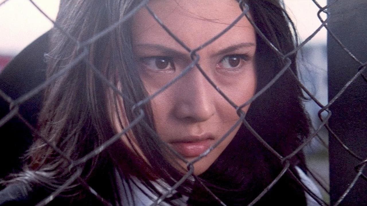 길 고양이: 섹스 헌터