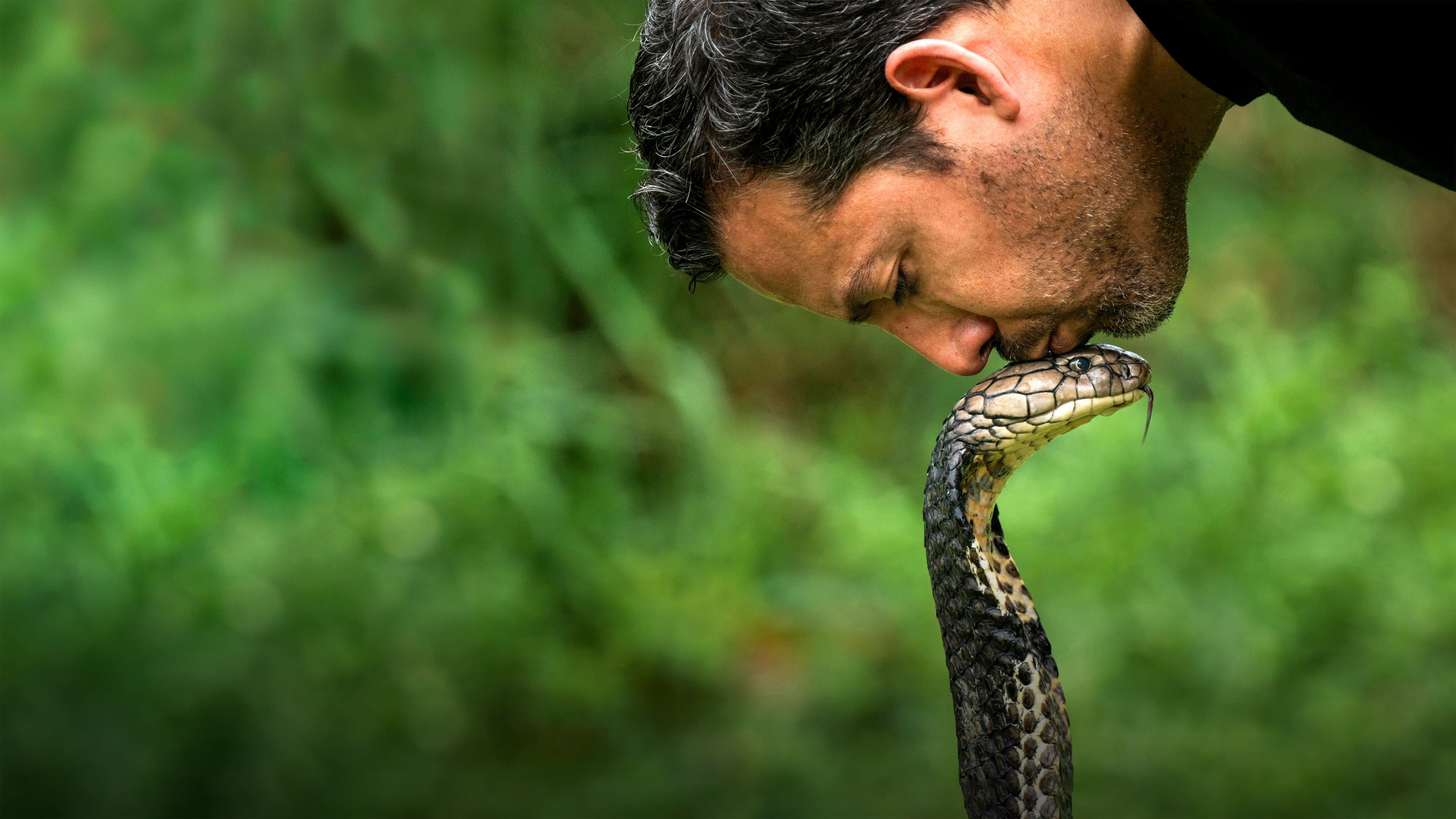 데이비드 블레인: 초현실 마술 여행
