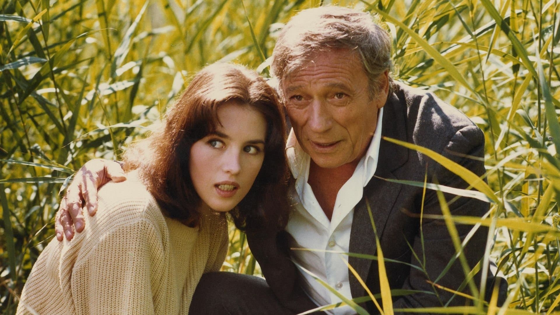 전부 불 전부 연기