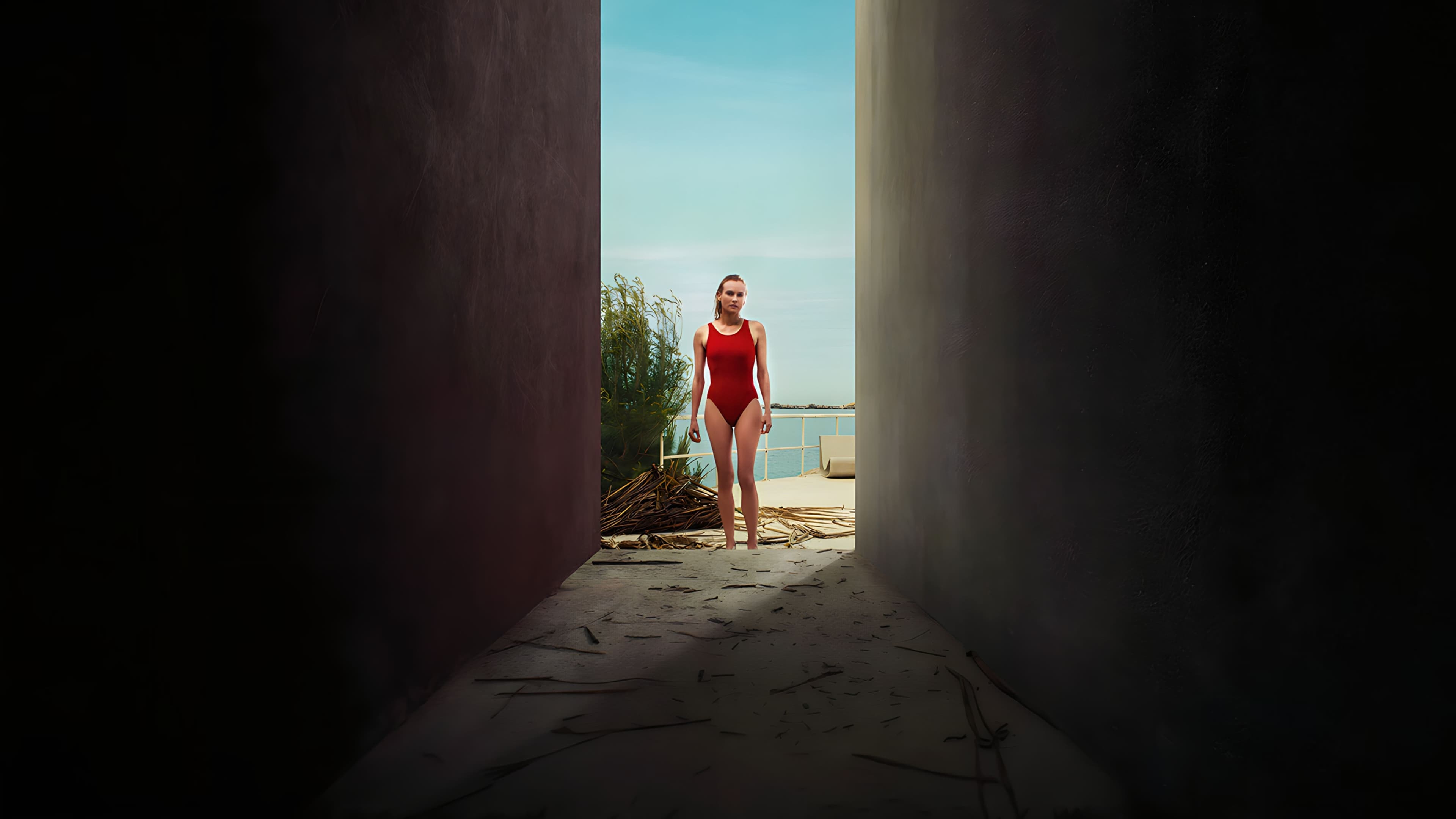 비전스: 금기된 시선